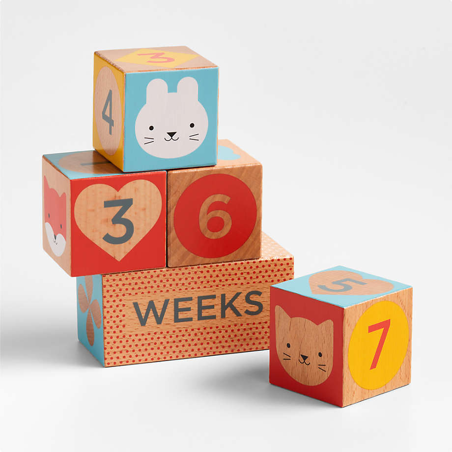 Baby wooden shop blocks